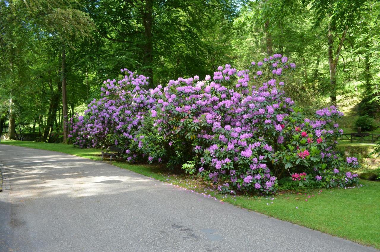 Ferienwohnung Am Kurpark บาดวิลด์บาด ภายนอก รูปภาพ